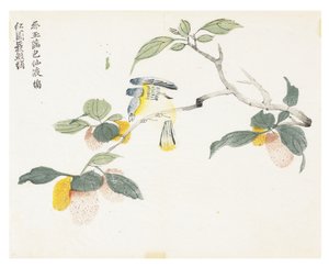 Jardin de graines de moutarde - Chinese School