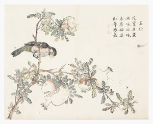 Jardin de graines de moutarde - Chinese School