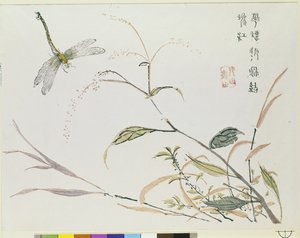 Jardin de graines de moutarde - Chinese School