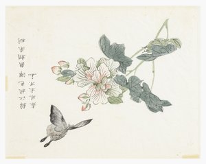 Jardin de graines de moutarde - Chinese School
