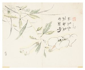 Jardin de graines de moutarde - Chinese School