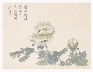 Jardin de la graine de moutarde - Chinese School