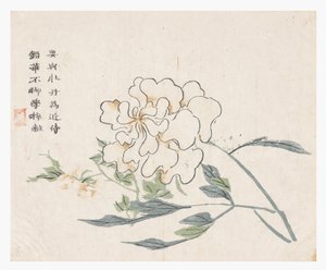 Jardin de la graine de moutarde - Chinese School