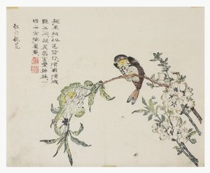 Jardin de la graine de moutarde - Chinese School