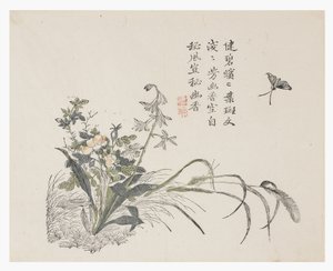 Jardin de graines de moutarde - Chinese School