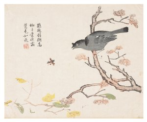 Jardin de graines de moutarde - Chinese School