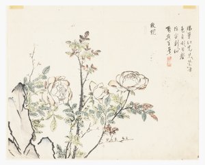 Jardin de la graine de moutarde - Chinese School