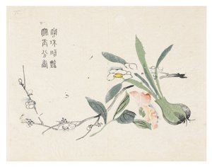 Jardin de la graine de moutarde - Chinese School