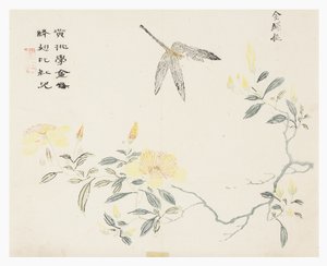 Jardin de la graine de moutarde - Chinese School
