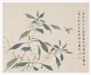 Jardin de la graine de moutarde - Chinese School