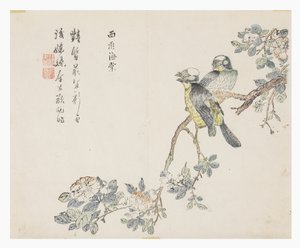 Jardin de la graine de moutarde - Chinese School