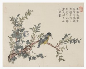 Jardin de la graine de moutarde - Chinese School