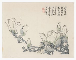 Jardin de la graine de moutarde - Chinese School