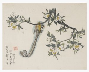 Jardin de la graine de moutarde - Chinese School