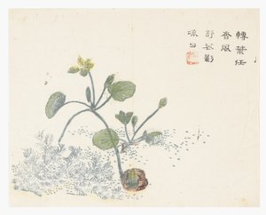 Jardin de la graine de moutarde - Chinese School
