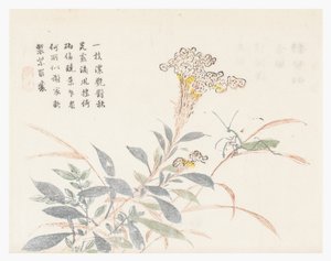 Jardin de graines de moutarde - Chinese School