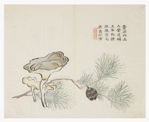 Jardin de graines de moutarde - Chinese School
