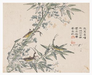 Jardin de graines de moutarde - Chinese School
