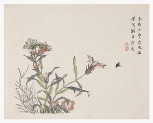 Jardin de graines de moutarde - Chinese School
