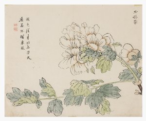 Jardin de graines de moutarde - Chinese School