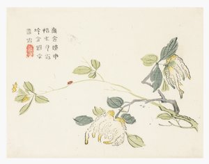 Jardin de graines de moutarde - Chinese School