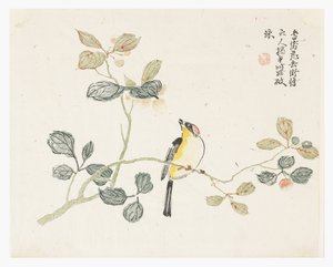 Jardin de graines de moutarde - Chinese School