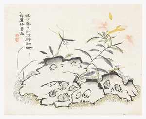 Jardin de graines de moutarde - Chinese School