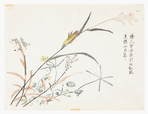 Jardin de la graine de moutarde - Chinese School