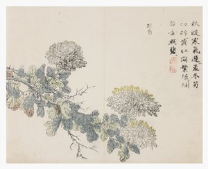 Jardin de la graine de moutarde - Chinese School