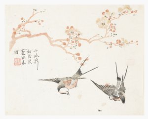 Jardin de la graine de moutarde - Chinese School