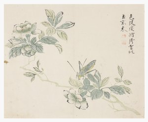 Jardin de la graine de moutarde - Chinese School