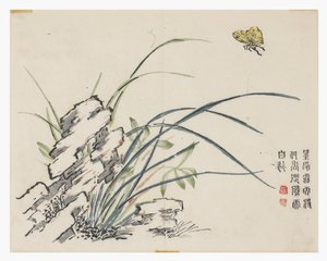 Jardin de graines de moutarde - Chinese School