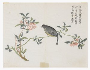 Jardin de graines de moutarde - Chinese School