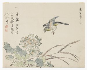 Jardin de la graine de moutarde - Chinese School