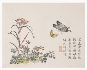 Jardin de la graine de moutarde - Chinese School