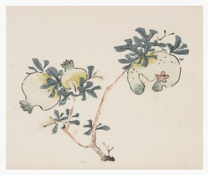 Série des Dix Bambous, XVIIIe siècle - Chinese School