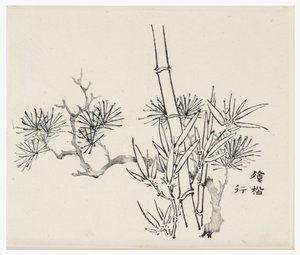 Série des Dix Bambous, XVIIIe siècle - Chinese School