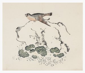 Série des Dix Bambous, XVIIIe siècle - Chinese School
