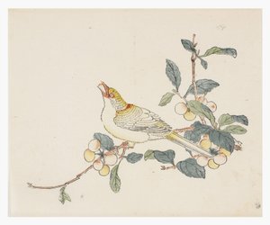 Série des Dix Bambous, XVIIIe siècle - Chinese School