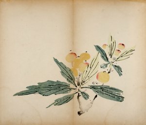 Impressions du Studio des Dix Bambous, 1643 - Chinese School