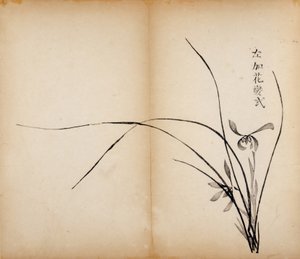 Impressions du Studio des Dix Bambous, 1643 - Chinese School