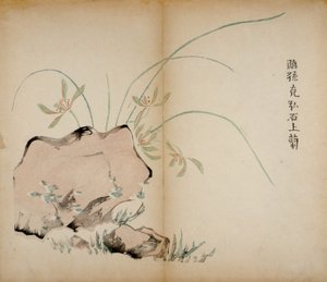 Impressions du studio des dix bambous, 1643 (gravure sur bois) - Chinese School
