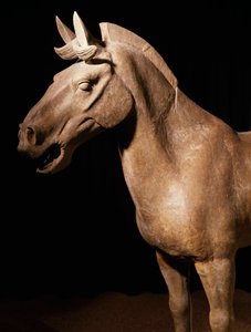 Cheval de l