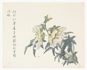 Jardin de la graine de moutarde - Chou Huang (after)