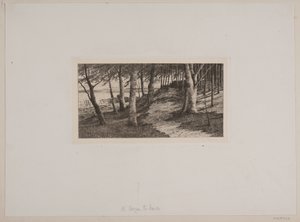 Fra Maribo - Chr. Benzon