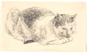Chat couché