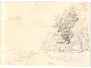 Partie de la falaise de Møns Klint