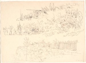 Le chemin le long des lacs. Diverses études de plantes ainsi que des notes à leur sujet - Christen Købke