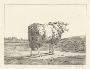 Mouton dans un paysage - Christiaan Godfried Schutze van Houten