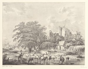 Troupeau de bétail près des ruines du château de Brederode